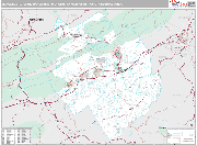 Blacksburg-Christiansburg-Radford Wall Map Premium Style